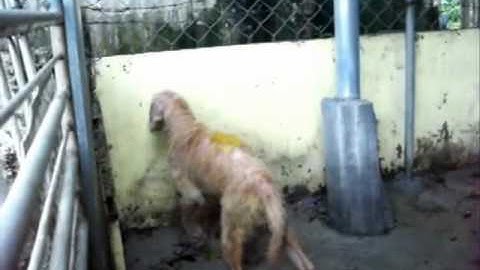 C:\Documents and Settings\Administrator\桌面\未命名_0001.wmv