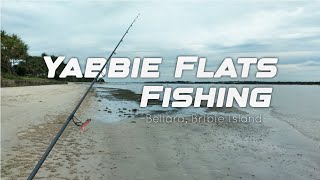 Exploring & Fishing Bribie Island Yabbie Flats - Daiwa Bait Junkie Risky Critter Soft Plastic screenshot 4