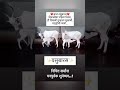 #deepawali 2024 #वसुबारस #गोवत्स द्वादशी #गाय #गोमाता #वासरू #cow 🐮🐄 #दिवाळी #दीपोत्सव
