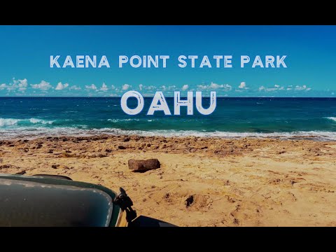 Video: Kaʻena Point State Park: Die volledige gids