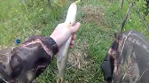 Рыбалка Наше Всё