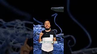 Evidencia de seres intraterrestres #mundo #misterio #historia #mitos #leyendas #sabiasque #miedo