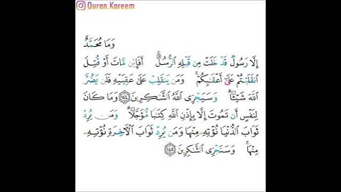 القارئ ماهر المعيقلي - سورة آل عمران - من الآية 144 إلى الآية 145