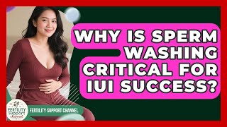 Why Is Sperm Washing Critical For IUI Success? - Fertility Support Channel