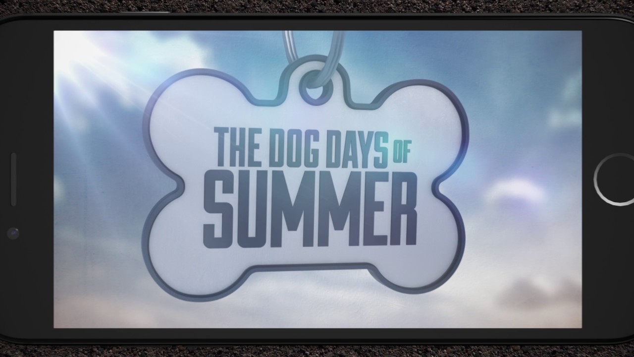 Craig Hart Motion Reel 2017 (Extended)