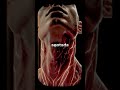 Lo que NADIE te dice del CR1STAL: la mandíbula se te vuelve una MÁQUINA 🧠🖤