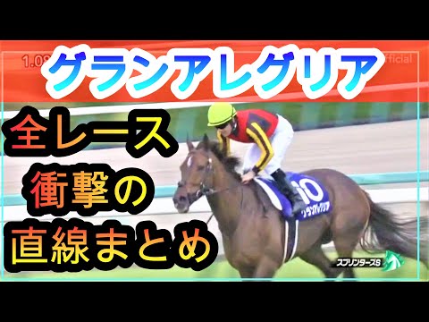 【競馬　グランアレグリア　マイルCS】アーモンドアイ斬り一閃！全レース最後の直線映像完全まとめ！～2020.11.21