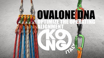 Kong OVALONE DNA: optimize the operating alignment