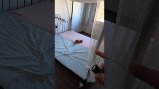 Rotlicht Etablissment im Lost Place Hotel gefunden?😳