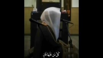 ( كل من عليها فان ) تلاوة عذبة 💔فضيلة الشيخ ياسر الدوسري