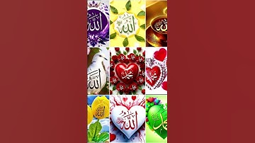 قرآن كريم #تلاوة_هادئة #قرآن #لا_اله_الا_الله