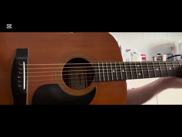 30 year old Gibson by Epiphone PR200 guitar demo with travis