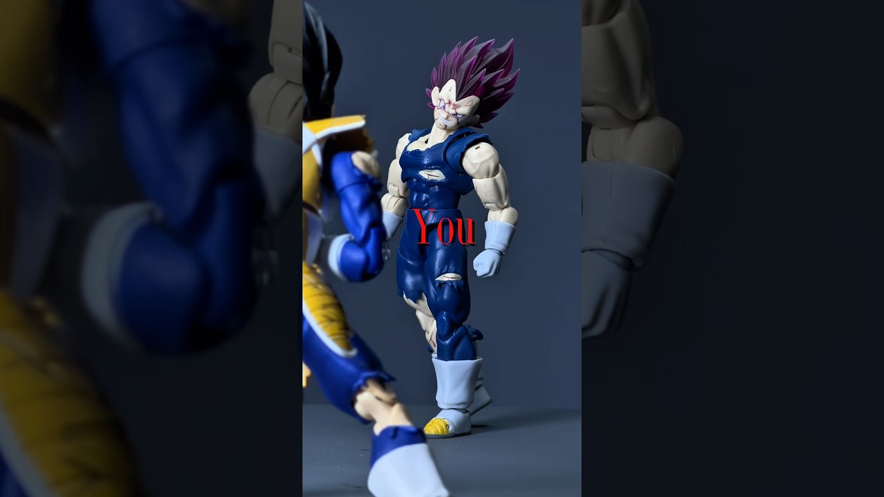 your next opponent is you #dragonballz #dragonballsuper #vegeta #