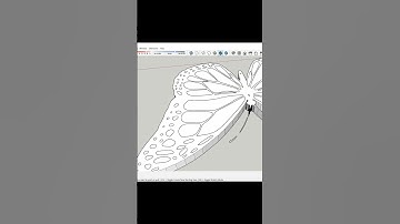 2D to 3D image in SketchUp (Butterfly) #youtubeshorts #subscribe #3d #sketchuppro #sketchup