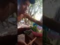 thanh niên lần đầu thử con đuôn dừa