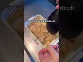【29歳専業主婦】海外で作る旦那弁当#shorts #花粉症 #鮭のり弁 #イギリス生活 #ロンドン生活 #駐在妻 #bento