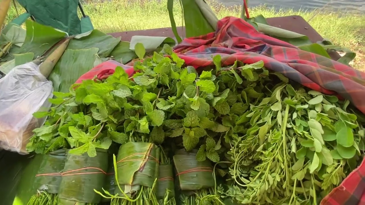 ผลผลิต1ไร่พอเพียง