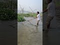 #বড় #fish