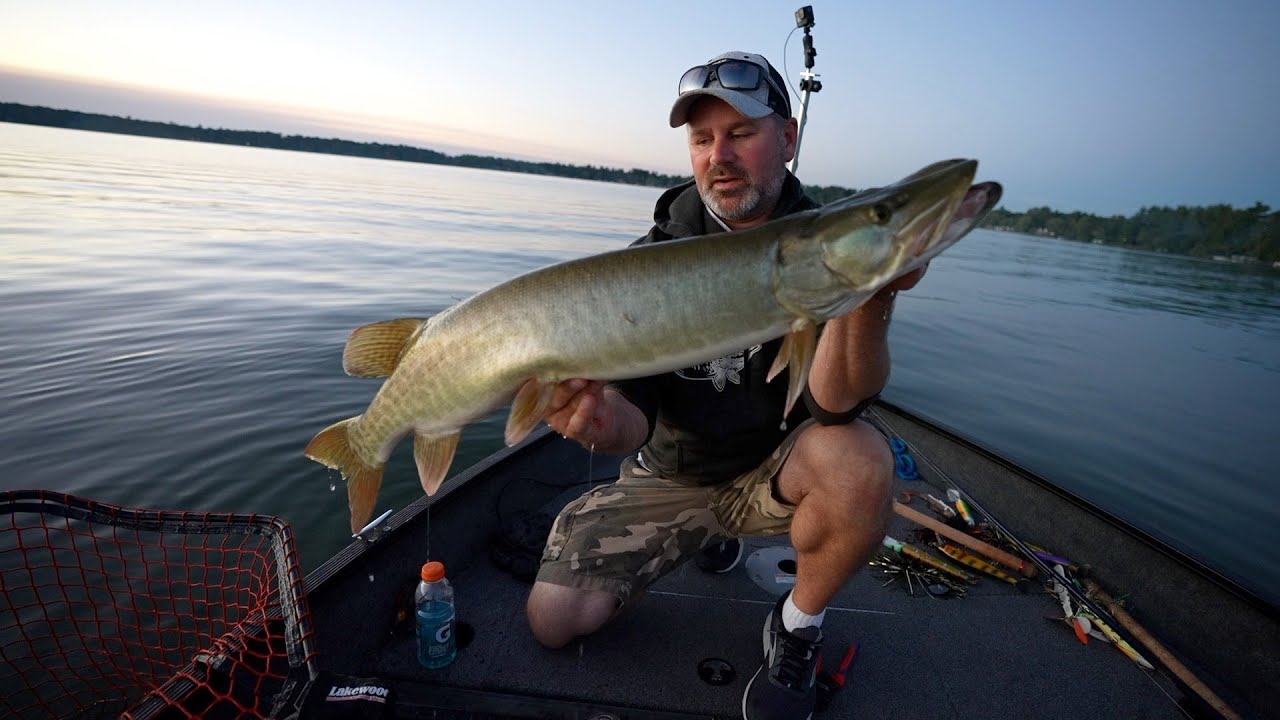 3 Musky Baits for Late Summer and Early Fall 