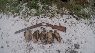 woodcock hunting in Ireland 2016/17