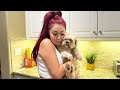 I RUSHED BENJEE TO THE VET! *VLOG*