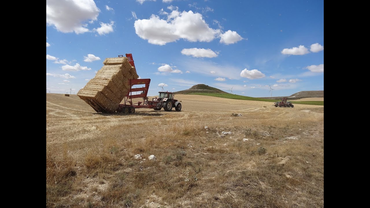 Recogida de paja 2013