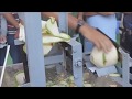 Alat pemotong kelapa muda SECARA CEPAT