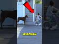 The Best Guard Dog