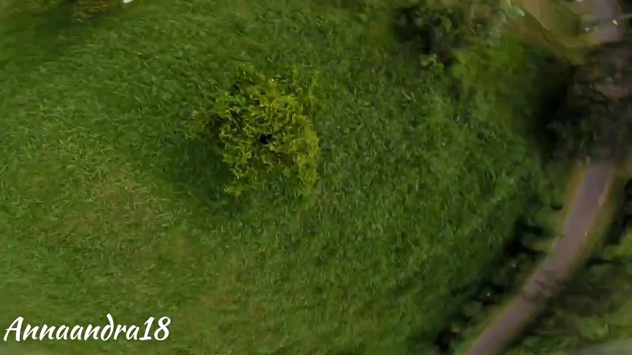 AIKON RD32 WITH RACEPIT // FPV FREESTYLE INDONESIA