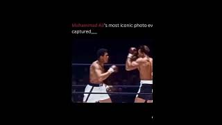 Muhammad Ali Iconic ko #boxing #knockout