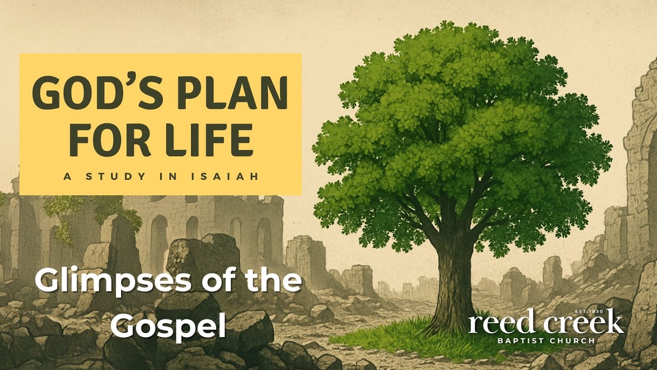God's Plan for Life