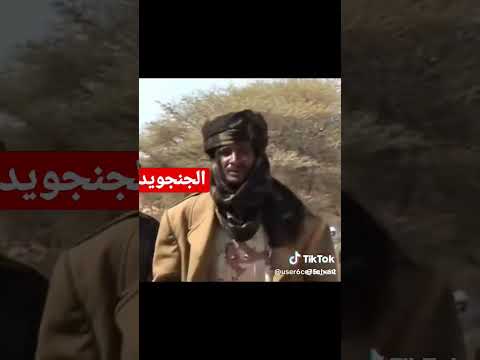 الجنجويد