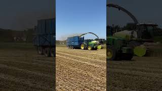 Rye harvest trailer change on the move #claas #claasjaguar #harvesting #fendt #johndeere