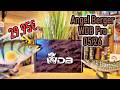 Viel hilft viel! Angel Berger Raubfisch PRO Überraschungsbox! WDB Monatsbox 05/26