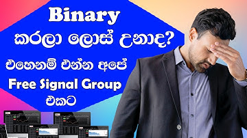 free binary signal | binary | expert option | iq option | no loss |100% free binary signal