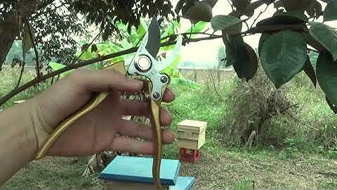 test kéo SK5 SADA 210 cán vàng giúp các bác đánh giá về chất lượng kéo 0983 781 388