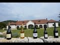 Come With Me To Hungary - the Tokaj Wine Region