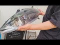 律丸の鮮魚販売🐟今日の魚介は「サワラ、スルメイカなど」です！！