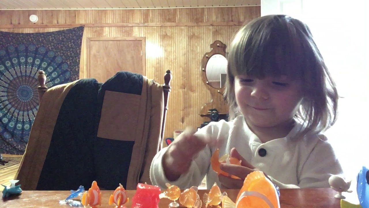 Finding Dory mashems (Feb. 2019)