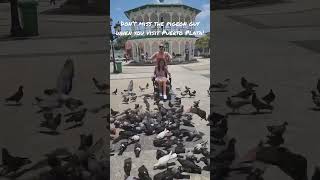 Don’t miss the pigeon guy in Independence Plaza when you visit in Puerto Plata! ￼