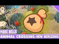 How i make bells in animal crossing new horizons acnh make money