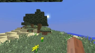 Java Hand And Java Bobbing in MCPE