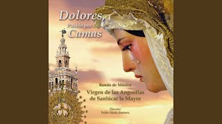 Video thumbnail of "Banda de Música Virgen de Las Angustias de Sanlúcar la Mayor - Virgen Del Rosario Coronada"