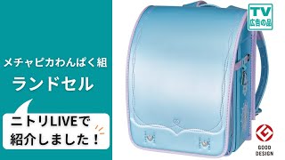 ニトリのランドセルわんぱく組2025 | ニトリネット【公式】 家具 