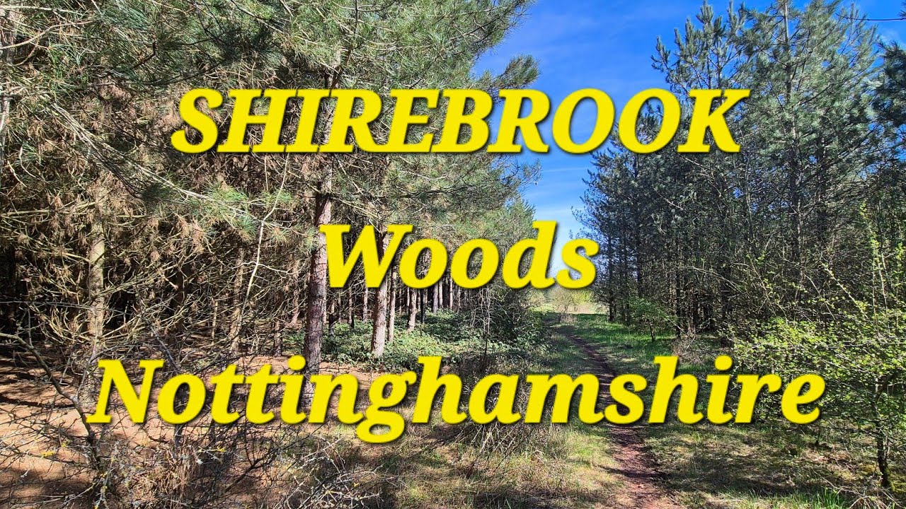 Shirebrook Woods,Mansfield, Nottinghamshire -Some Drone Footage.