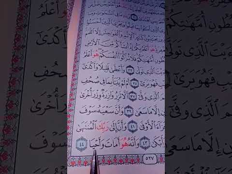 وإن ليس الإنسان إلا ما سعيllسورة النجم بصوت الشيخ ماهر المعيقلي