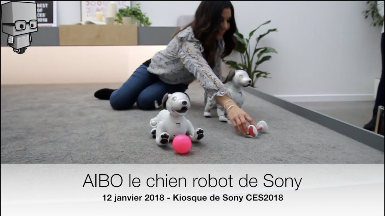 CES 2018] Sony remet sur le tapis son robot-chien Aibo et le