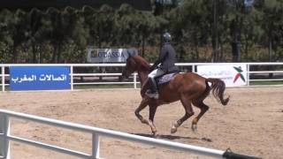 Cso 115 cm !