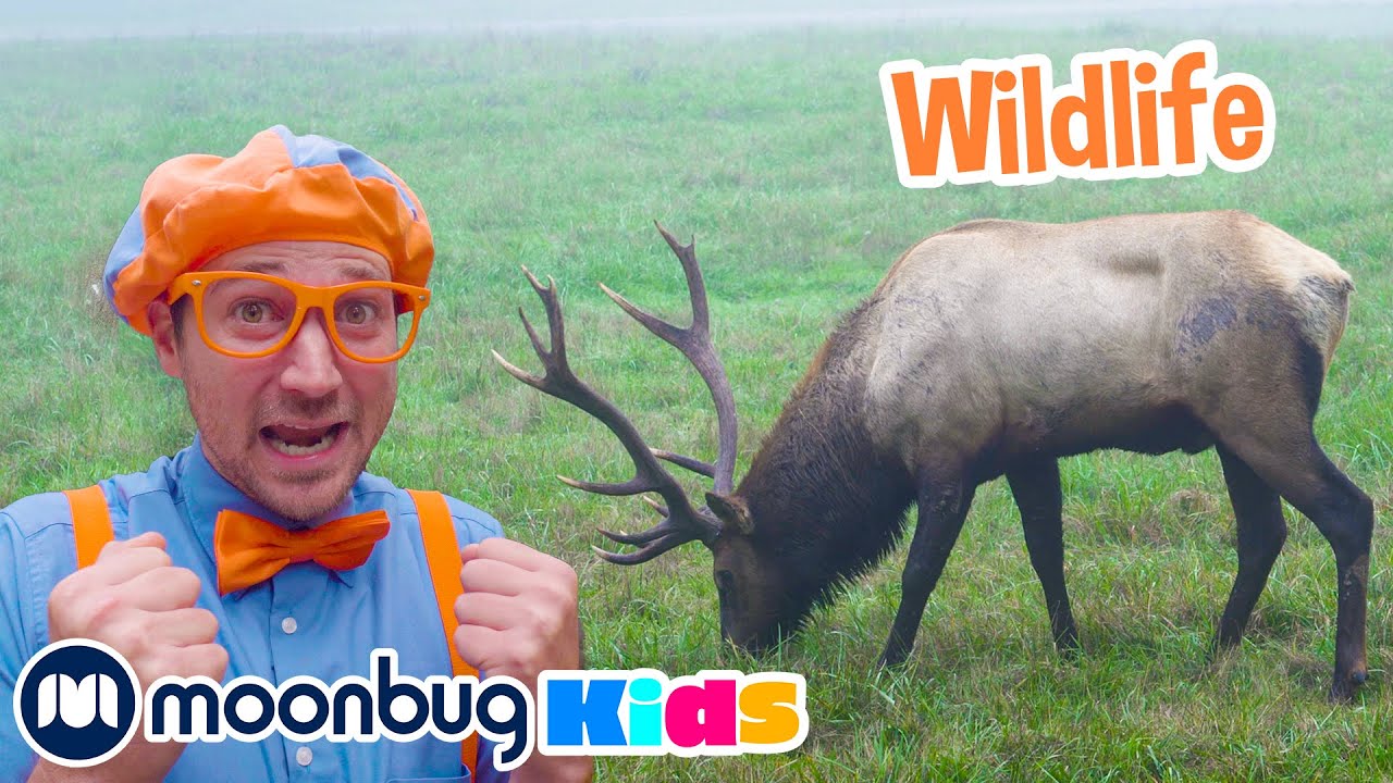 ⁣Blippi Visits the Wildlife Park! @Blippi | Jurassic TV | Dinosaur Vids