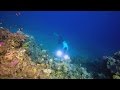 Red Sea\Egypt\Freedivers photographer\ diving\Египет\Дайвинг в Дахабе на Murey Garden